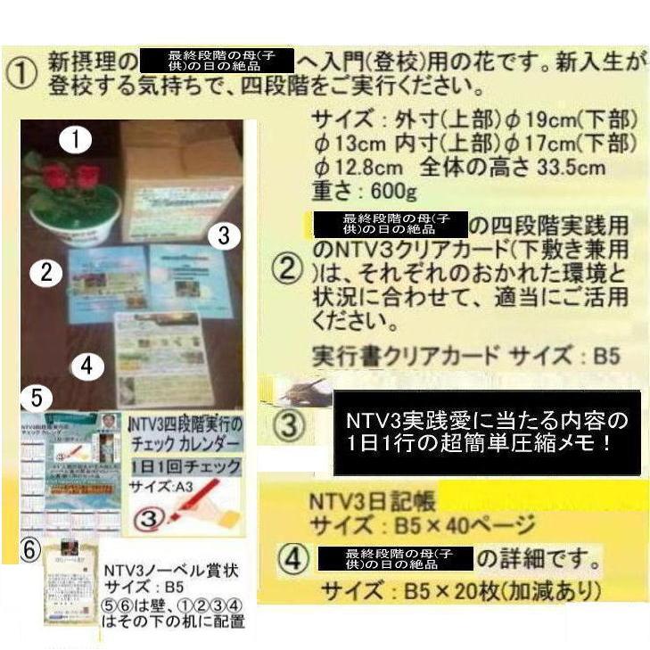 公益　最終段階の母(子供)の日の絶品 |  | 02