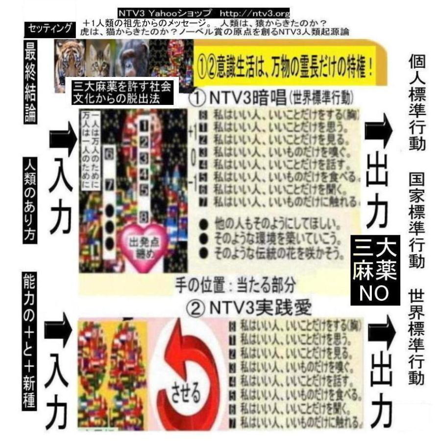 新生活　三大麻薬を許す社会文化から脱出法 |  | 13