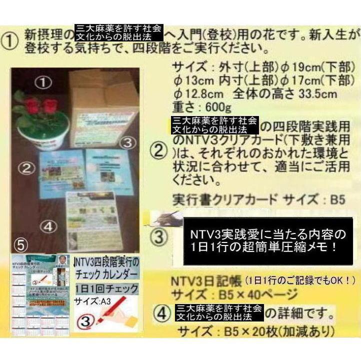 新生活　三大麻薬を許す社会文化から脱出法 |  | 01