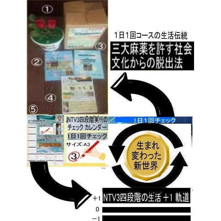新生活　三大麻薬を許す社会文化から脱出法 |  | 02