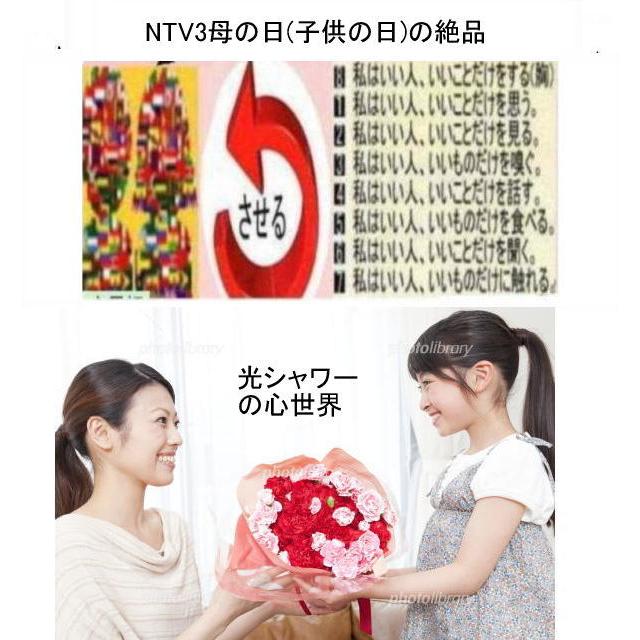 新生活　最終段階の母(子供)の日の絶品 | 