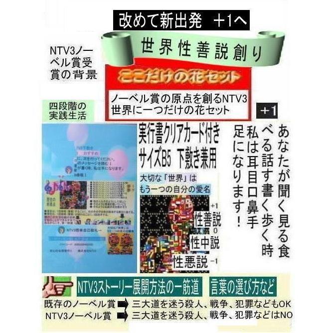 新生活　最終段階の母(子供)の日の絶品 |  | 17