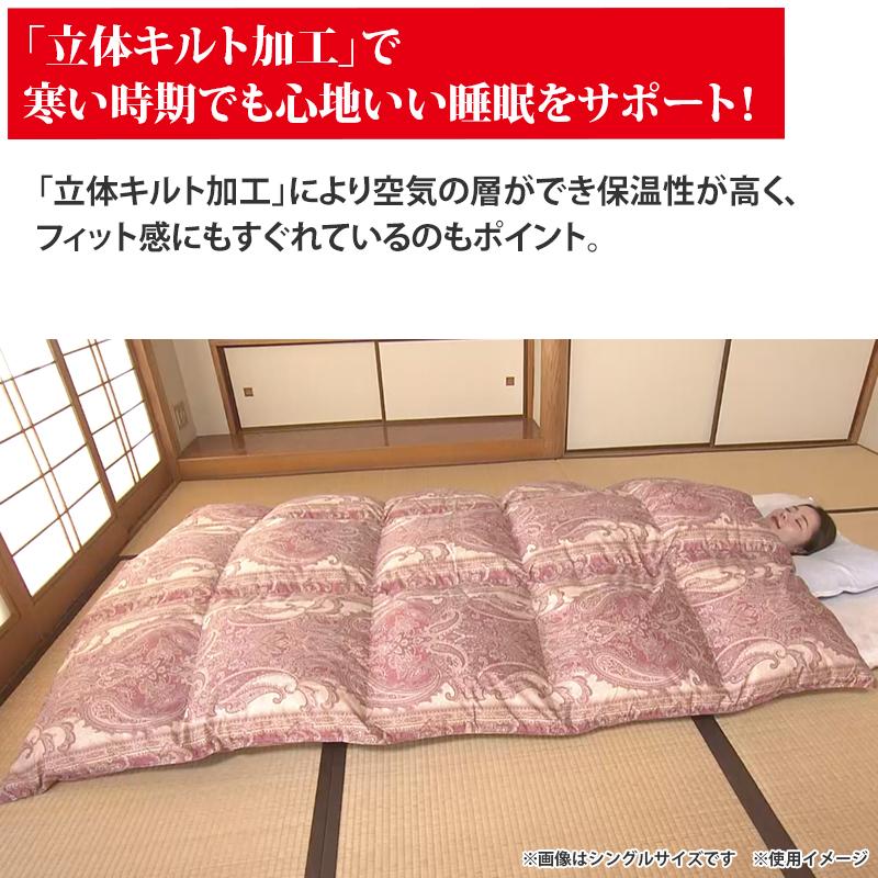 新春ポシュレ限定お買い得羽毛ふとん シングル2枚組 日テレ