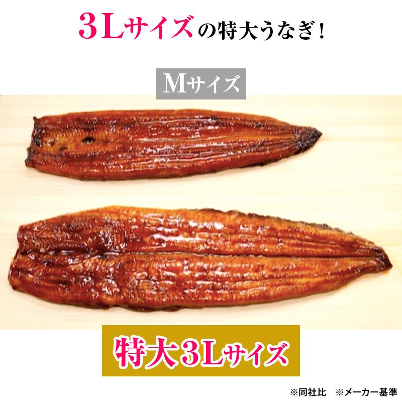特大3Lサイズ葵うなぎ長蒲焼185g×3尾セット 日テレポシュレ(日本テレビ