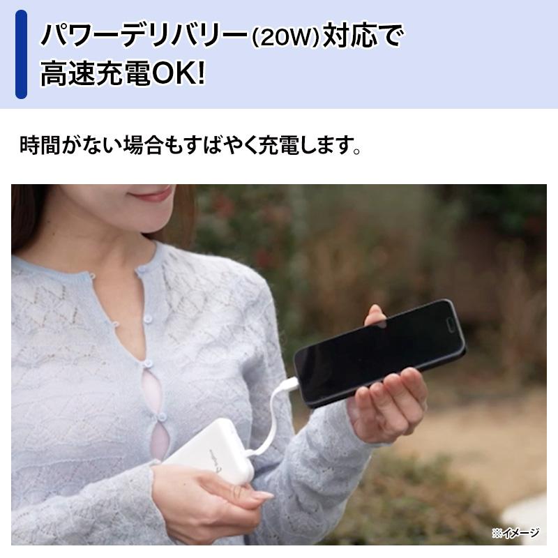 BigBlue 全固体モバイルバッテリー10000 日テレポシュレ(日本テレビ
