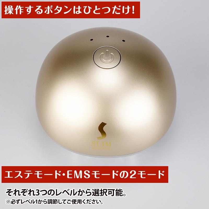 スリムビューティハウス クワトロローラー EMS 日テレポシュレ スリムビューティハウス クワトロローラー EMS 日テレポシュレ