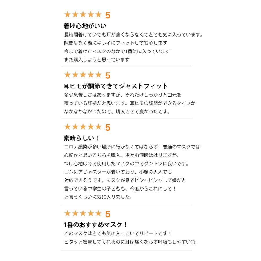 KN95 高機能マスク ベーシック Lサイズ 20枚 1cm大きい 個別包装 ホワイト 5層フィルタ 花粉 N95相当 微粒子カット 不織布  使い切り 耳調節 IBR アイビーアール |  | 14