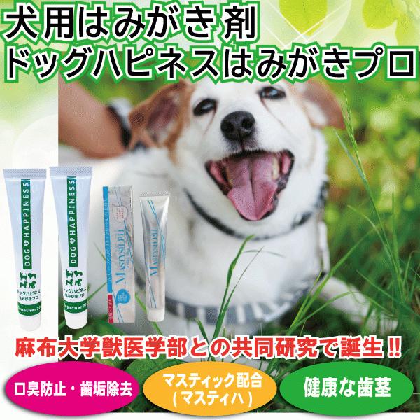 犬用はみがき剤ドッグハピネスはみがきプロ2本 薬用マスティシルフ ペット用品 犬用品 デンタルケア用品 歯磨き粉 歯磨きジェル 口臭ケア ジェル 口臭対策 Doghapiness2mastic Nub Shop 通販 Yahoo ショッピング