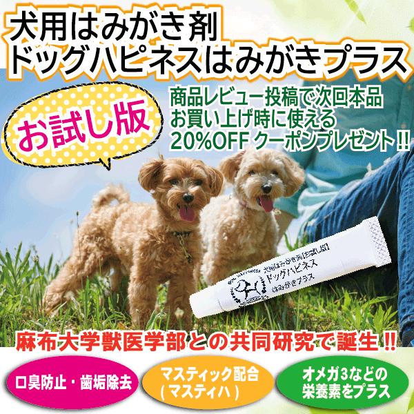 5 好評 ドッグハピネスはみがきプラスお試し版4g ペット用品 犬 犬用品