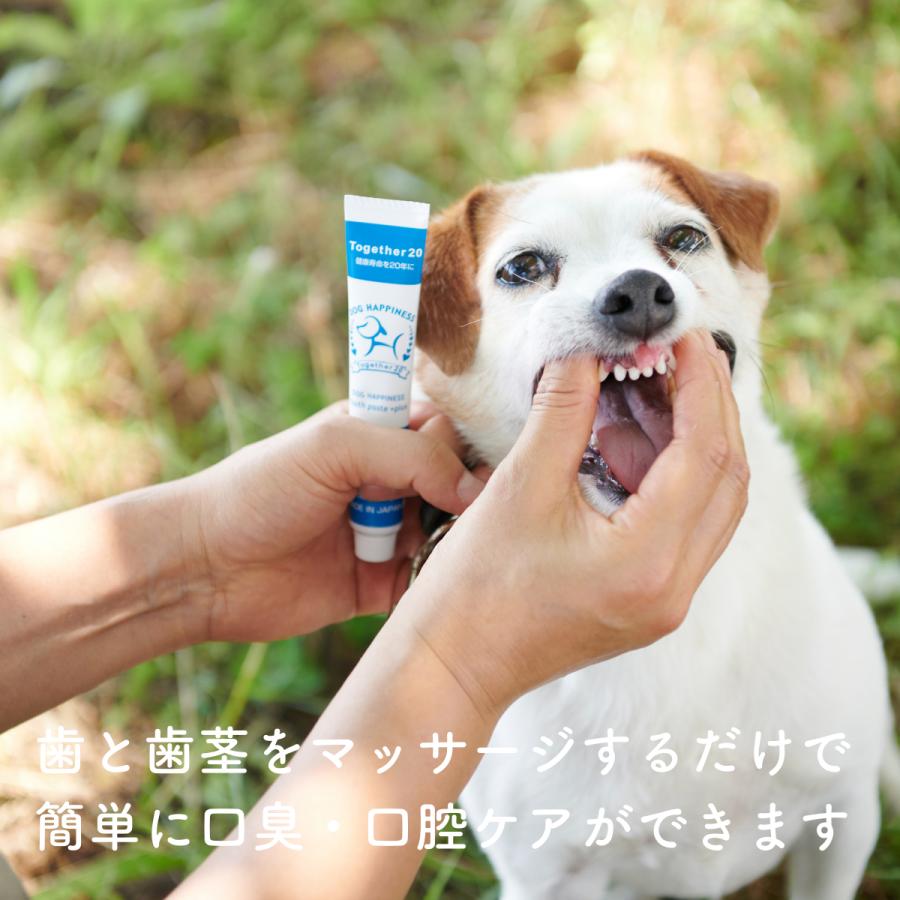 犬 歯磨き 歯磨きジェル 口臭ケア ドッグハピネスはみがきプラス 口臭 歯石取り 歯垢 歯磨き粉 ペット用デンタルケア用品 3本セット :dogplus3:DOG HAPPINESS 公式 - 通販 - Yahoo!ショッピング 犬 歯磨き 歯磨きジェル 口臭ケア ドッグハピネスはみがきプラス 口臭 歯石取り 歯垢 歯磨き粉 ペット用デンタルケア用品 3本セット :dogplus3:DOG HAPPINESS 公式 - 通販 - Yahoo!ショッピング