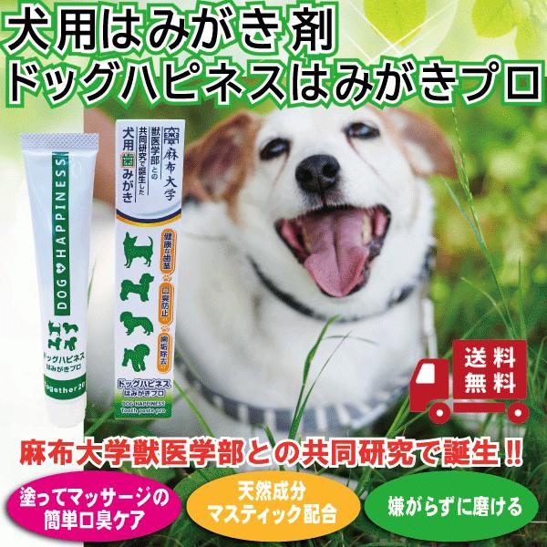 犬用はみがき剤ドッグハピネスはみがきプロ ペット用品 犬 犬用品 デンタルケア用品 歯磨き粉 歯磨きジェル 口臭ケア ジェル 口臭対策 Sammer Campaign Nub Shop 通販 Yahoo ショッピング