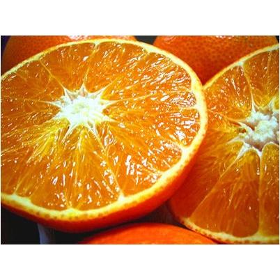 紅まどんな 訳あり 家庭用 約 10kg 愛媛県産 紅マドンナ 送料 紅まどんな 訳あり 家庭用 約 10kg 愛媛県産 紅マドンナ 送料