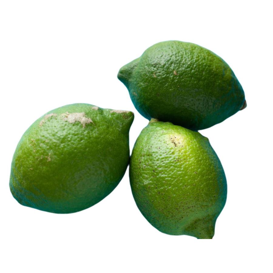 宅送 瀬戸田レモン 無農薬レモン 2kg Ab混合品 防腐剤 防カビ剤不使用 国産レモン 青レモン 広島レモン