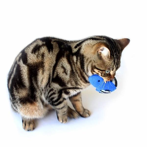 猫おもちゃ キャットニップ セーターバード けりぐるみ おしゃれ エコフレンドリー Boas1 Nuko Nuko Yahoo 店 通販 Yahoo ショッピング
