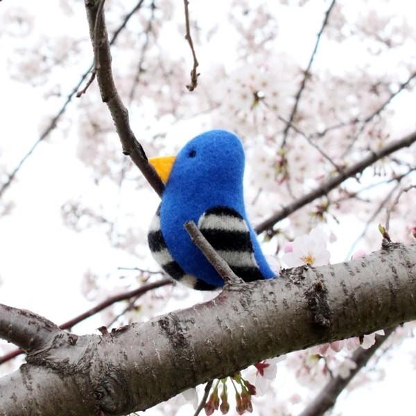 猫おもちゃ キャットニップ セーターバード けりぐるみ おしゃれ エコフレンドリー Boas1 Nuko Nuko Yahoo 店 通販 Yahoo ショッピング