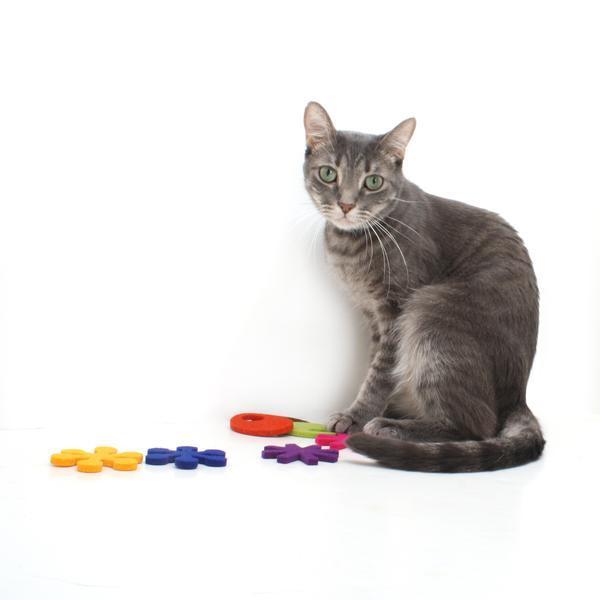 猫おもちゃ アトミック・フライヤー フィエスタ おしゃれ メリノウール フェルト キャットニップ またたび Hauspanther |  | 06