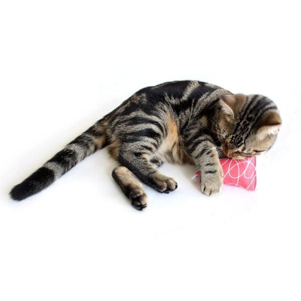 猫おもちゃ 音の鳴る けりぐるみ モッドシェイカー ラズベリー・チーター キャットニップ入り またたび Hauspanther |  | 04