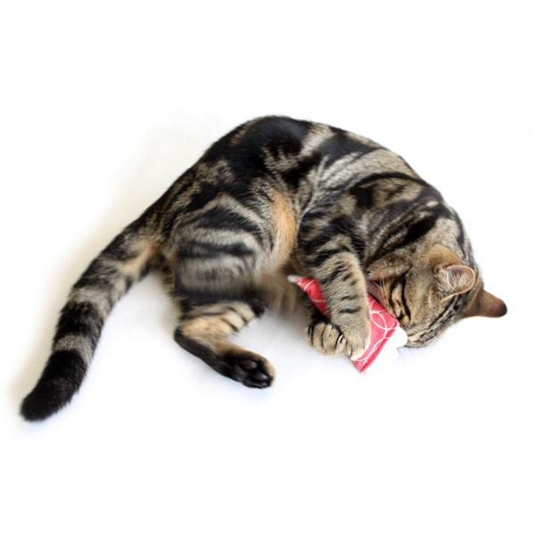 猫おもちゃ 音の鳴る けりぐるみ モッドシェイカー ラズベリー・チーター キャットニップ入り またたび Hauspanther |  | 05