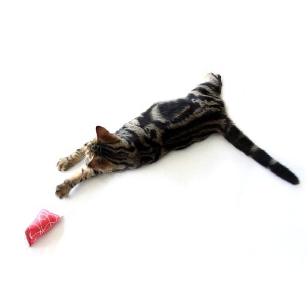 猫おもちゃ 音の鳴る けりぐるみ モッドシェイカー ラズベリー・チーター キャットニップ入り またたび Hauspanther |  | 06