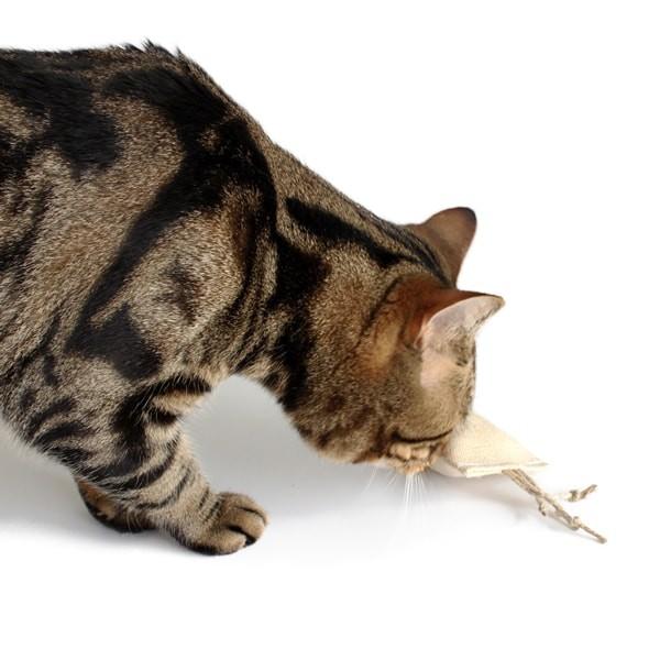 猫おもちゃ けりぐるみ キャットニップ・キャロット オーガニックヘンプ ナチュラル素材 またたび |  | 03