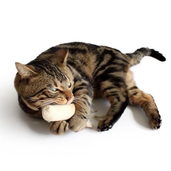 猫おもちゃ けりぐるみ キャットニップ・キャロット オーガニックヘンプ ナチュラル素材 またたび |  | 06