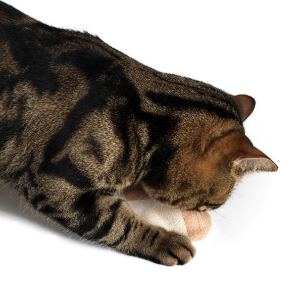 猫おもちゃ キャットニップ・ミトン けりぐるみ オーガニックコットン ナチュラル素材 またたび |  | 04