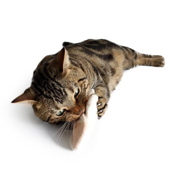 猫おもちゃ キャットニップ・ミトン けりぐるみ オーガニックコットン ナチュラル素材 またたび |  | 06
