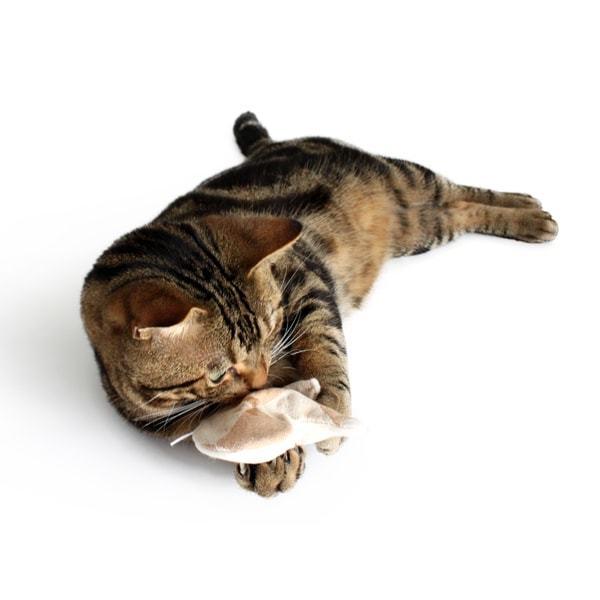猫おもちゃ キャットニップ・ミトン けりぐるみ オーガニックコットン ナチュラル素材 またたび |  | 07