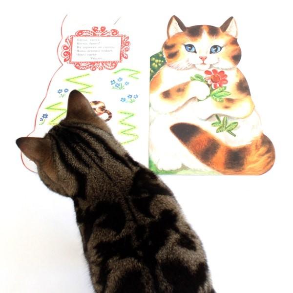 かわいい猫の型抜き絵本 子猫 猫 ロシア イラスト満載 Rccb1 Nuko Nuko Yahoo 店 通販 Yahoo ショッピング