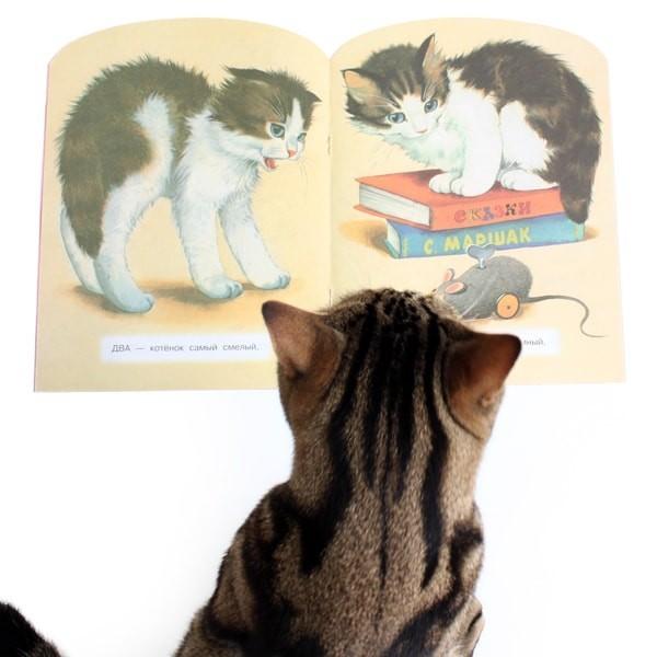 かわいい猫の絵本 数え歌 子猫 ロシア セルゲイ ミハルコフ