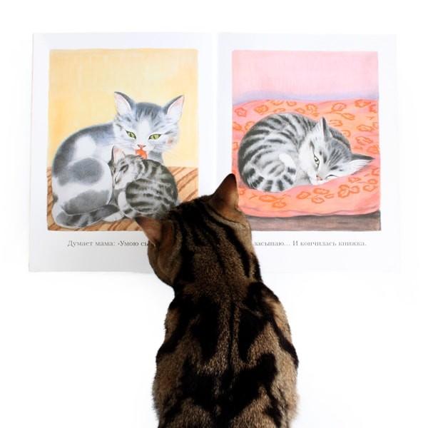 猫 ねこ 絵本 子猫 ロシア かわいいイラスト満載 Rccb3 Nuko Nuko Yahoo 店 通販 Yahoo ショッピング
