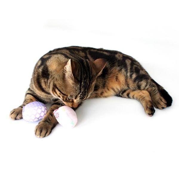 猫 ぬいぐるみ 卵の殻入り 41OGBODmBFL.jpg_BO30,255,255,