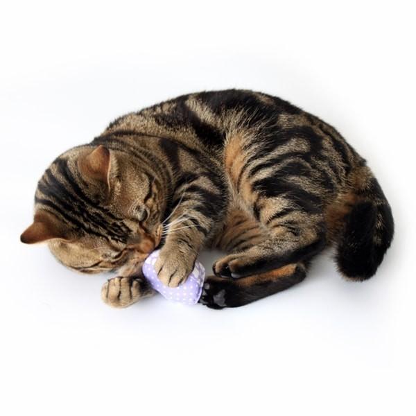 猫おもちゃ キャットニップ・エッグ 1パック6個入り おしゃれな