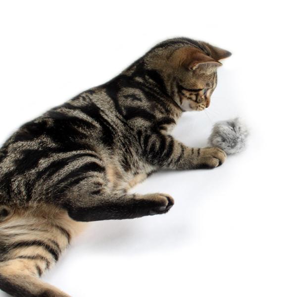 猫おもちゃ マックス 2個セット 天然ファー ボール キャットトイ |  | 03