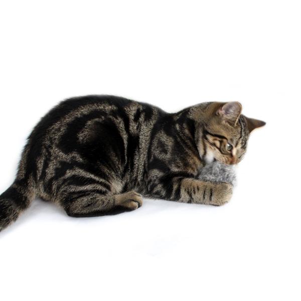 猫おもちゃ マックス 2個セット 天然ファー ボール キャットトイ |  | 04