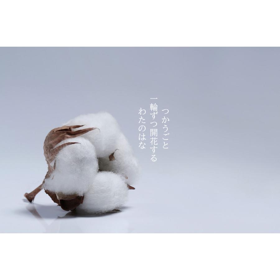 浅野撚糸 【わたのはな No3 ミドルパイル】洗うたびにパイルが開く 超