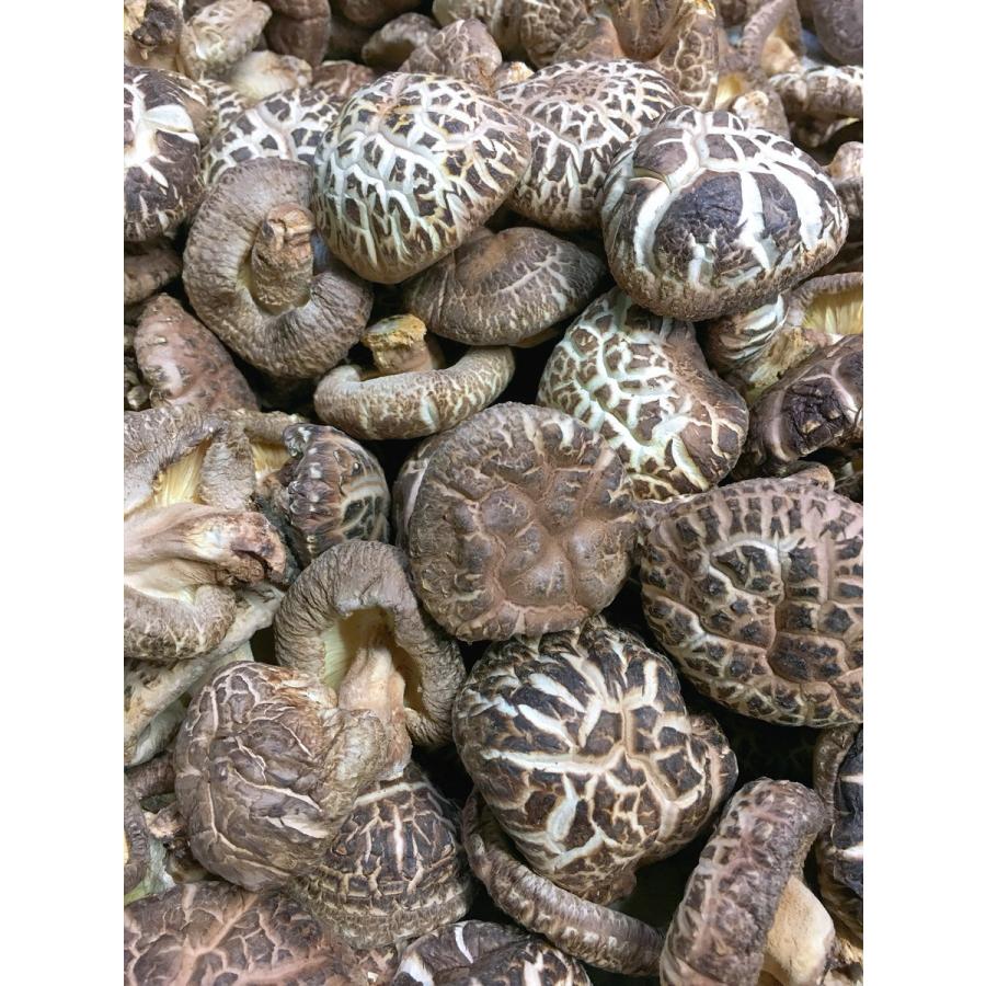 小粒どんこ原木干し椎茸 簡易包装 しいたけ しいたけ農園 国産 保存