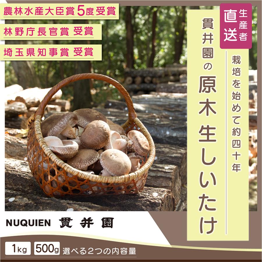 原木生シイタケ 300g 国産 無農薬・無化学肥料