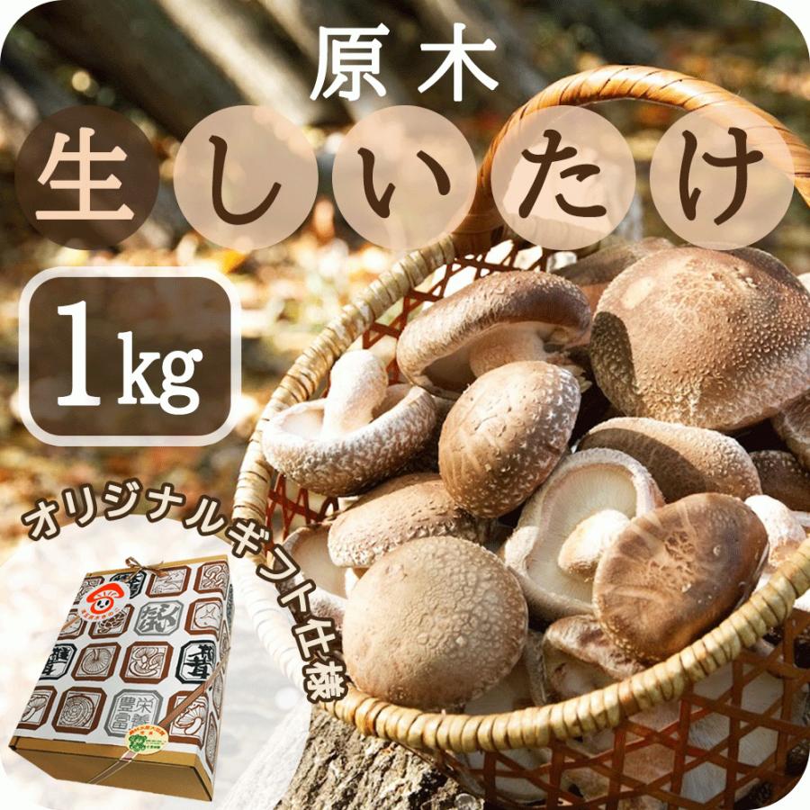 原木生しいたけ (箱詰め1Kg) ギフト仕様 椎茸 しいたけ農園 栽培方法