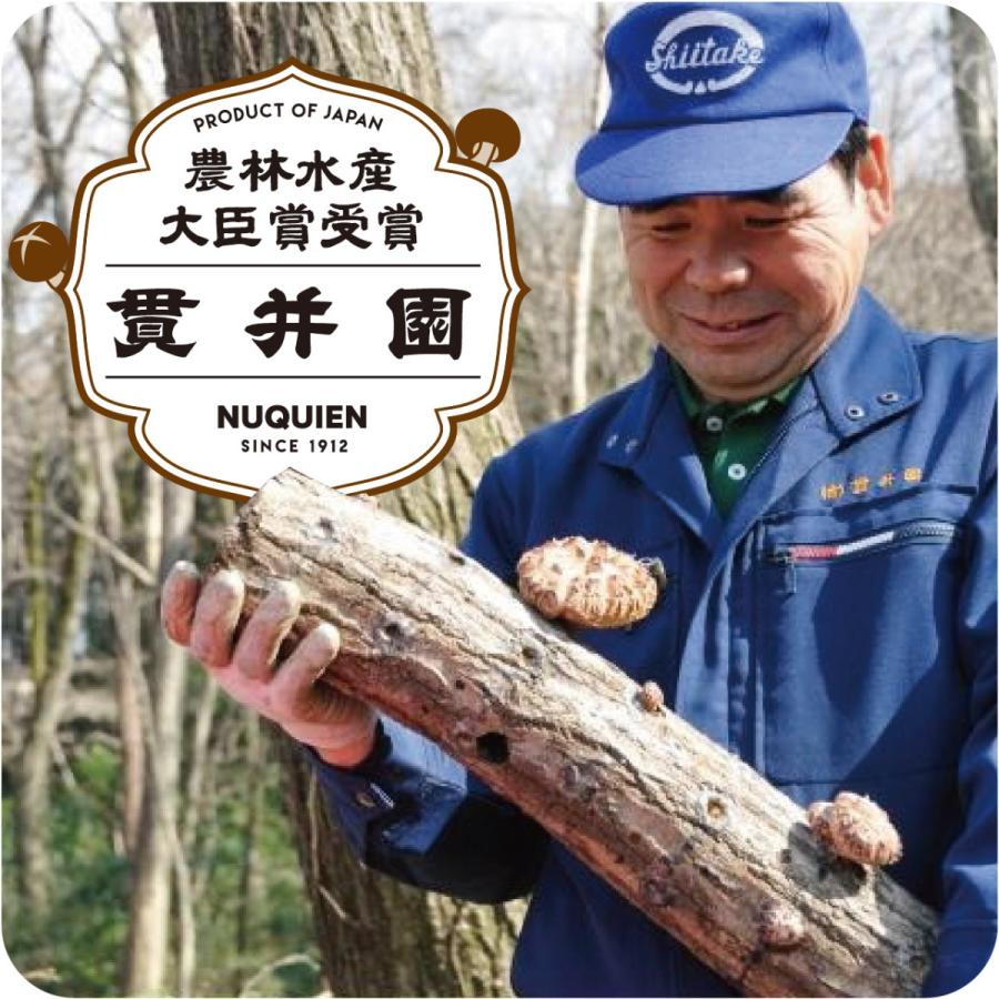 バクテー （ 肉骨茶 ) の 素 2袋 キット 薬膳 スパイス 漢方 スープ