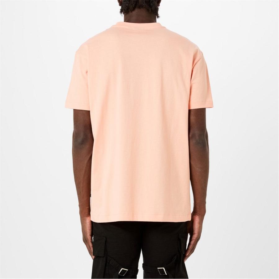 ナパピリ (Napapijri) メンズ Tシャツ トップス Small Box Logo Short Sleeve T Shirt (Salmon Pink)｜nul-select｜03