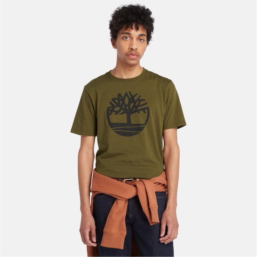 ティンバーランド (Timberland) メンズ Tシャツ トップス T Shirt (Dark Olive)｜nul-select｜02