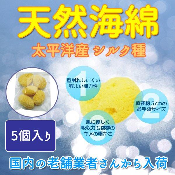 天然大海綿 クリーム色 約15cm 天然海綿 スポンジ イシミズ サイズ5 中 約5cm 5個 業務用 ドラッグ