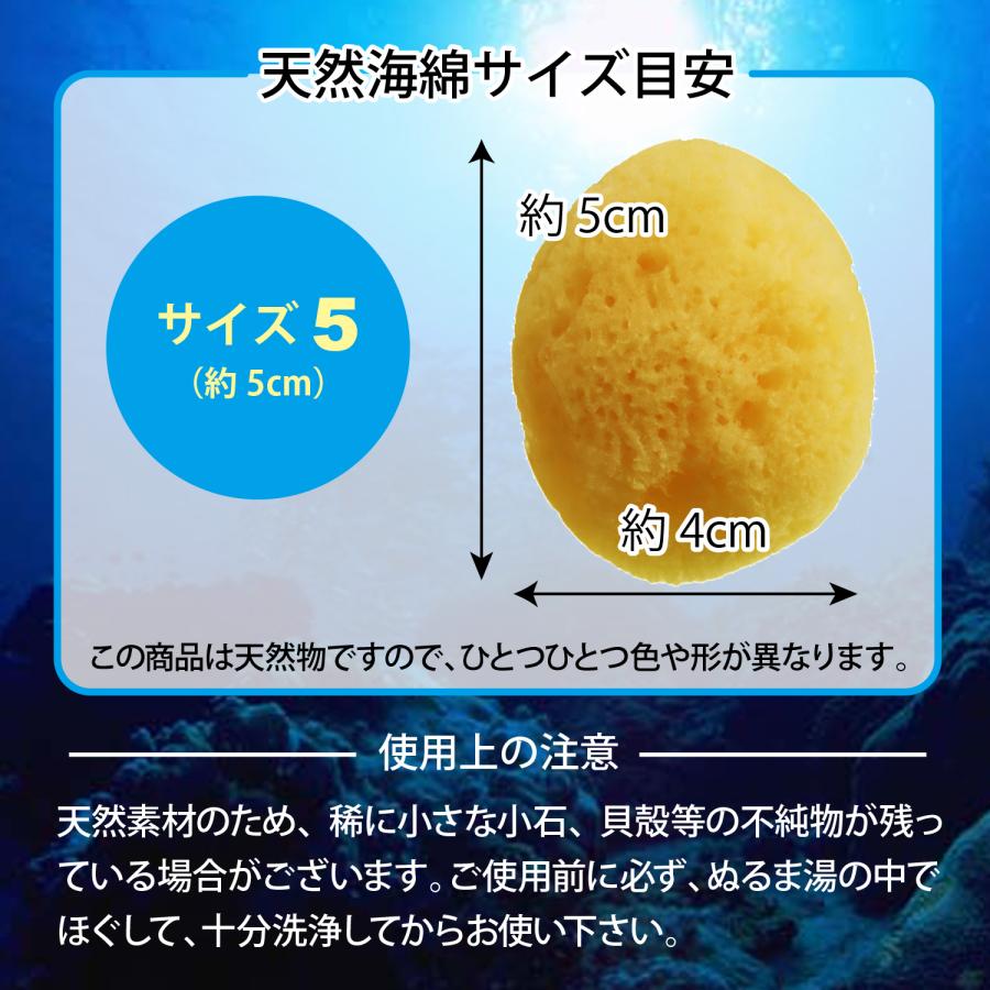 天然大海綿 クリーム色 約15cm 天然海綿 スポンジ イシミズ サイズ5 中 約5cm 5個 業務用 ドラッグ