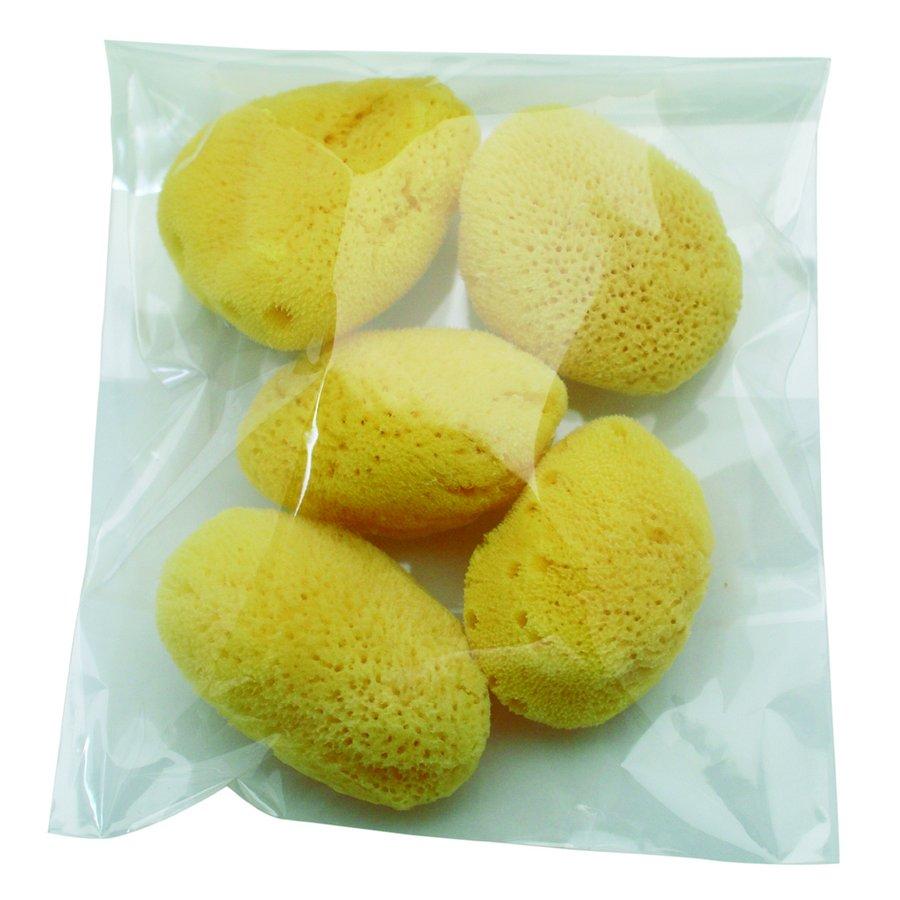 天然海綿 スポンジ イシミズ サイズ5 中 約5cm 5個 業務用 ドラッグ