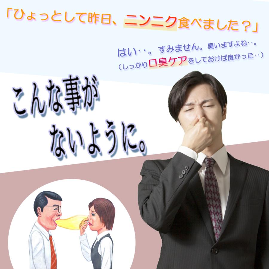 液体ハミガキ アクアッシュ 20L 業務用 20倍濃縮 マウスウォッシュ 口臭予防 洗口液 メントール_10