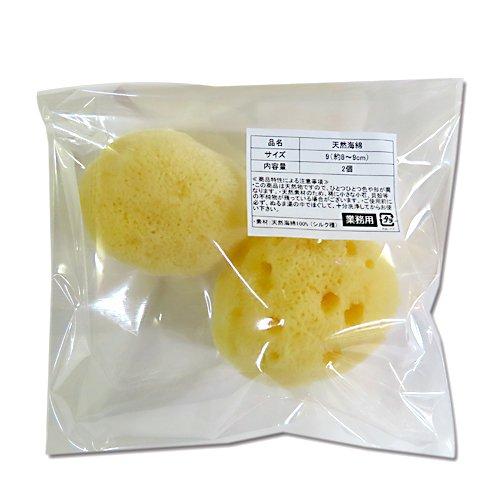 海綿 ドラッグストア スポンジ 天然 シルクサイズ9 特大 8〜9cm 大粒2