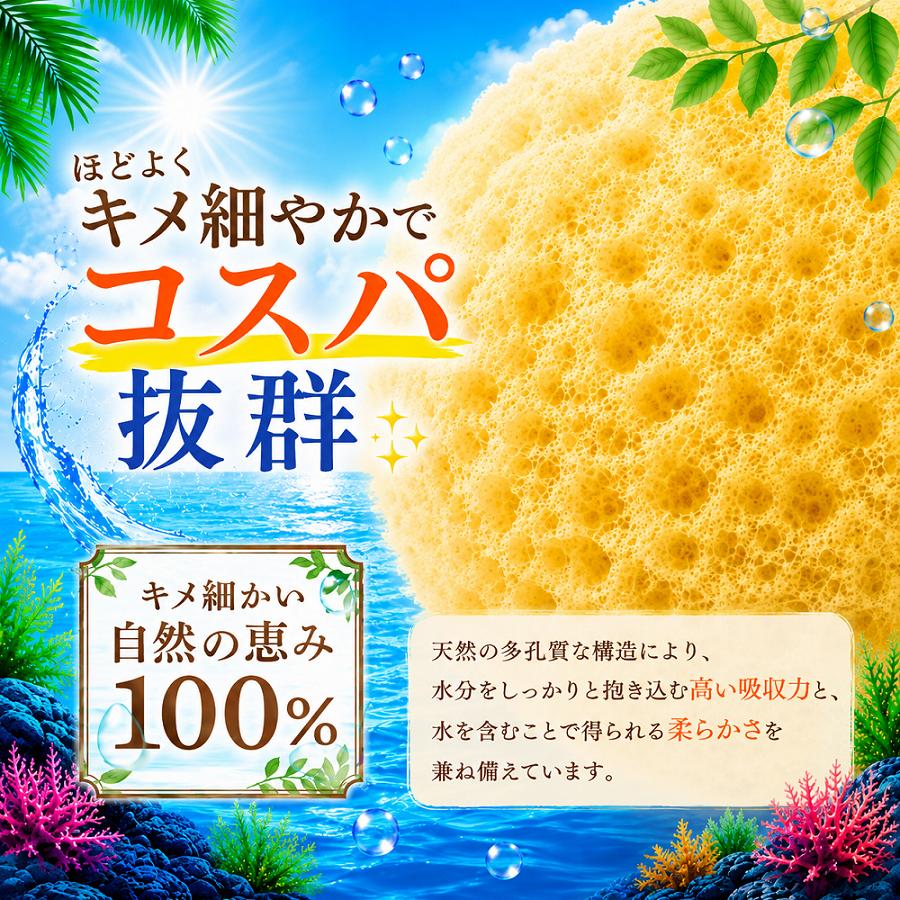 海綿 ドラッグストア スポンジ 天然 シルクサイズ9 特大 8〜9cm 大粒2