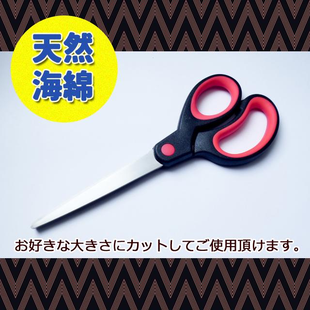海綿 ドラッグストア スポンジ 天然 シルクサイズ9 特大 8〜9cm 大粒2