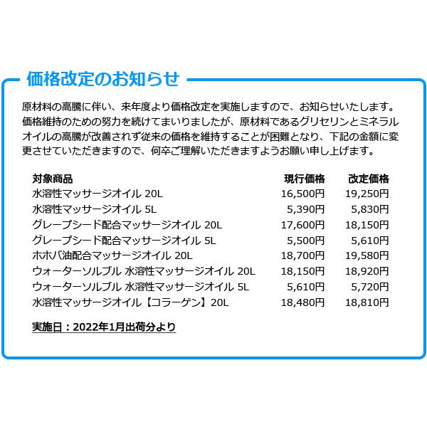 ウォーターソルブル 水溶性マッサージオイル l Qbテナー Water Soluble 無香料 拭き取りやすい フットマッサージ 業務用サイズ エステ店のつめかえ用に Dgs576 ヌルジャパン Yahoo ショップ 通販 Yahoo ショッピング